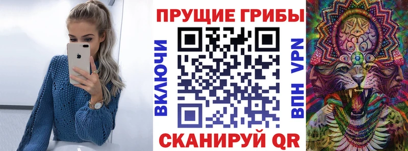 Купить  Севастополь  Псилоцибиновые грибы Psilocybine cubensis 